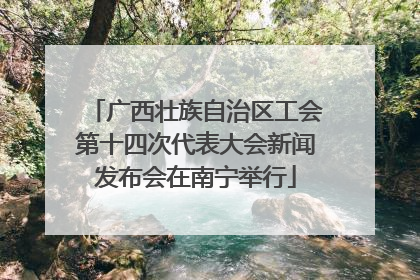 广西壮族自治区工会第十四次代表大会新闻发布会在南宁举行