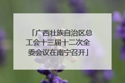 广西壮族自治区总工会十三届十二次全委会议在南宁召开