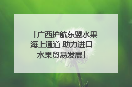 广西护航东盟水果海上通道 助力进口水果贸易发展