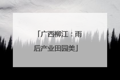 广西柳江：雨后产业田园美