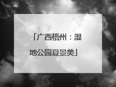 广西梧州：湿地公园夏景美