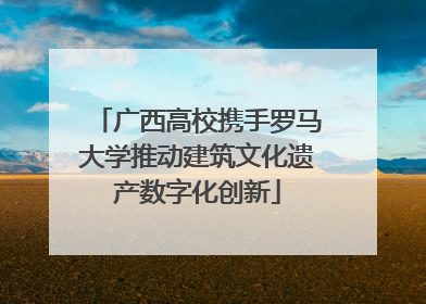 广西高校携手罗马大学推动建筑文化遗产数字化创新