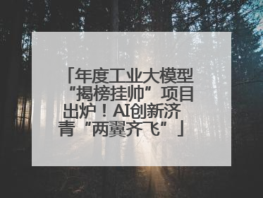 年度工业大模型“揭榜挂帅”项目出炉！AI创新济青“两翼齐飞”