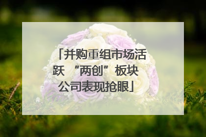 并购重组市场活跃 “两创”板块公司表现抢眼