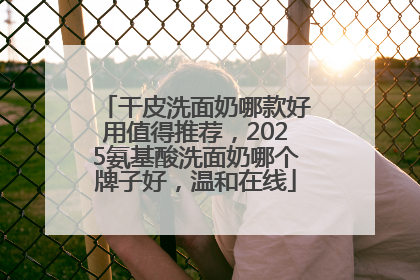 干皮洗面奶哪款好用值得推荐，2025氨基酸洗面奶哪个牌子好，温和在线