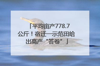 平均亩产778.7公斤！宿迁一示范田给出高产“答卷”