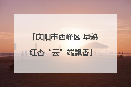 庆阳市西峰区 早熟红杏“云”端飘香