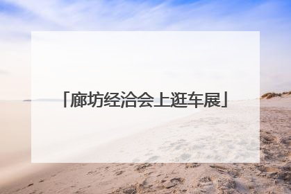 廊坊经洽会上逛车展
