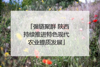 强链聚群 陕西持续推进特色现代农业提质发展