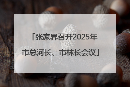 张家界召开2025年市总河长、市林长会议