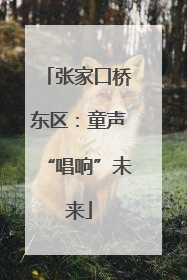 张家口桥东区：童声“唱响”未来