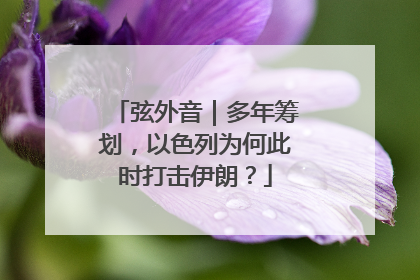弦外音｜多年筹划，以色列为何此时打击伊朗？
