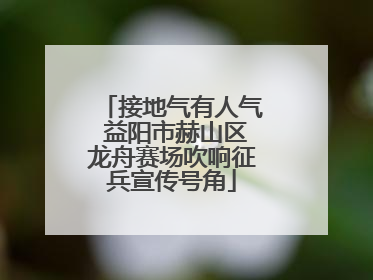 接地气有人气 益阳市赫山区龙舟赛场吹响征兵宣传号角