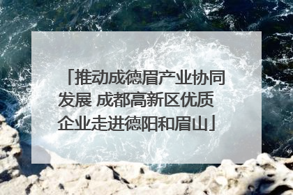 推动成德眉产业协同发展 成都高新区优质企业走进德阳和眉山