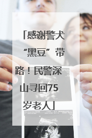感谢警犬“黑豆”带路！民警深山寻回75岁老人