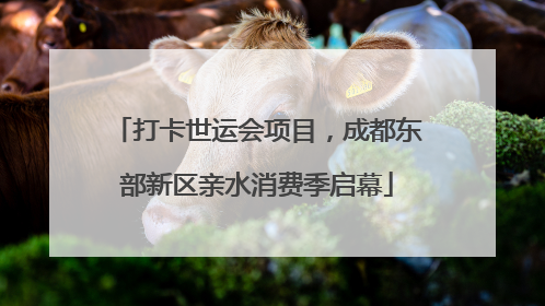 打卡世运会项目，成都东部新区亲水消费季启幕