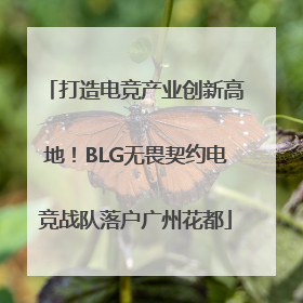 打造电竞产业创新高地！BLG无畏契约电竞战队落户广州花都