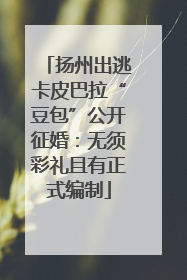 扬州出逃卡皮巴拉“豆包”公开征婚：无须彩礼且有正式编制