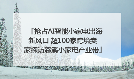 抢占AI智能小家电出海新风口 超100家跨境卖家探访慈溪小家电产业带
