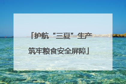 护航“三夏”生产 筑牢粮食安全屏障
