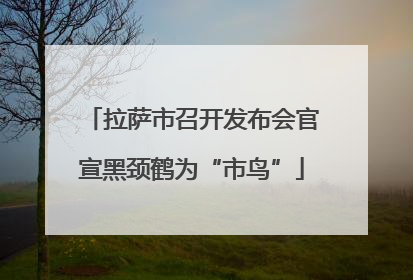 拉萨市召开发布会官宣黑颈鹤为“市鸟”