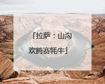 拉萨：山沟欢腾赛牦牛