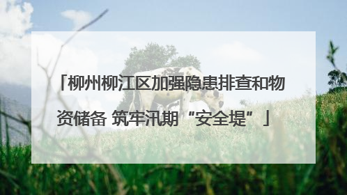 柳州柳江区加强隐患排查和物资储备 筑牢汛期“安全堤”