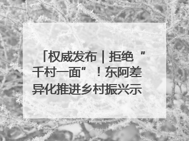 权威发布｜拒绝“千村一面”！东阿差异化推进乡村振兴示范片区建设