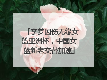 李梦因伤无缘女篮亚洲杯，中国女篮新老交替加速