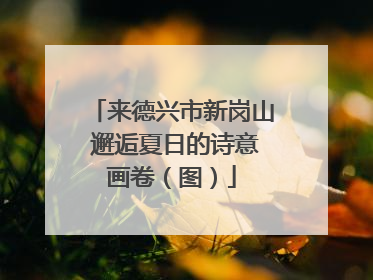 来德兴市新岗山 邂逅夏日的诗意画卷（图）