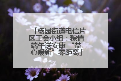 杨园街道电信片区工会小组：粽情端午送安康 “益心暖新”零距离