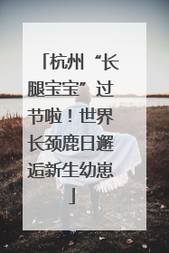 杭州“长腿宝宝”过节啦!世界长颈鹿日邂逅新生幼崽