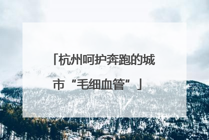 杭州呵护奔跑的城市“毛细血管”