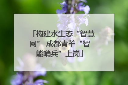 构建水生态“智慧网” 成都青羊“智能哨兵”上岗