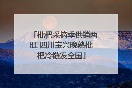枇杷采摘季供销两旺 四川宝兴晚熟枇杷冷链发全国
