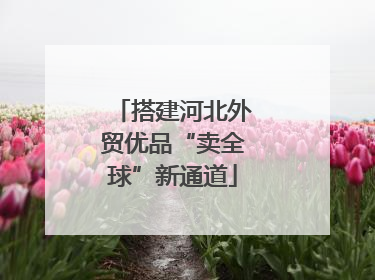 搭建河北外贸优品“卖全球”新通道