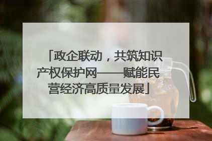 政企联动，共筑知识产权保护网——赋能民营经济高质量发展