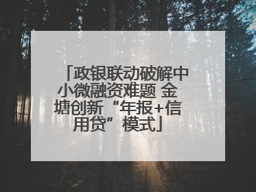 政银联动破解中小微融资难题 金塘创新“年报+信用贷”模式