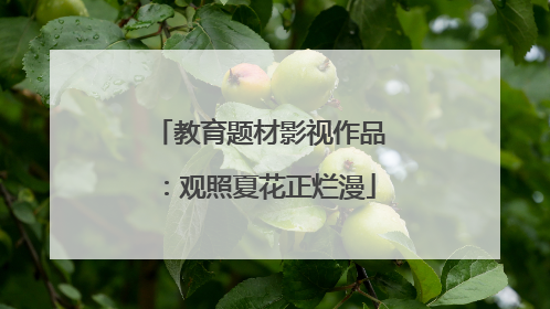 教育题材影视作品：观照夏花正烂漫