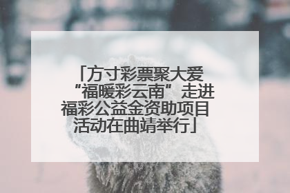 方寸彩票聚大爱 “福暖彩云南”走进福彩公益金资助项目活动在曲靖举行