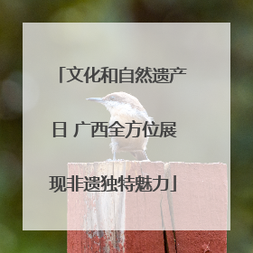 文化和自然遗产日 广西全方位展现非遗独特魅力