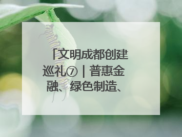 文明成都创建巡礼⑦｜普惠金融、绿色制造、公益助学展现城市文明底色