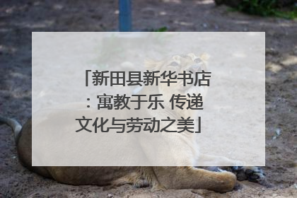 新田县新华书店：寓教于乐 传递文化与劳动之美