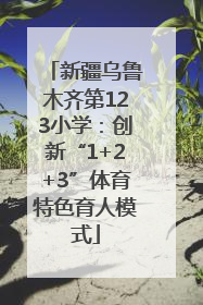 新疆乌鲁木齐第123小学：创新“1+2+3”体育特色育人模式