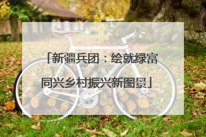 新疆兵团：绘就绿富同兴乡村振兴新图景