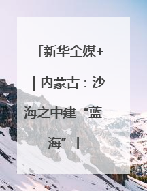 新华全媒+｜内蒙古：沙海之中建“蓝海”