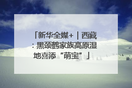 新华全媒+｜西藏：黑颈鹤家族高原湿地喜添“萌宝”