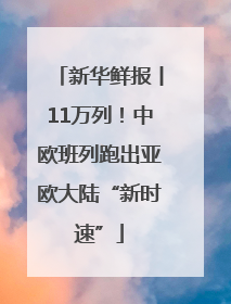 新华鲜报丨11万列！中欧班列跑出亚欧大陆“新时速”
