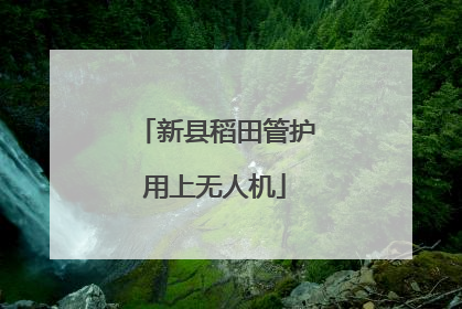 新县稻田管护用上无人机