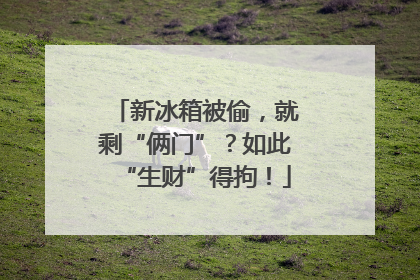 新冰箱被偷，就剩“俩门”？如此“生财”得拘！